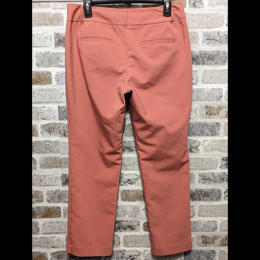 Ann Taylor Factory Signature Capri Pant - Size 6 - Picture 2 of 4
